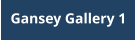 Gansey Gallery 1