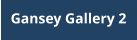 Gansey Gallery 2