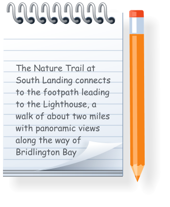 The Nature Trail at South Landing connects to the footpath leading to the Lighthouse, a walk of about two miles with panoramic views along the way of Bridlington Bay